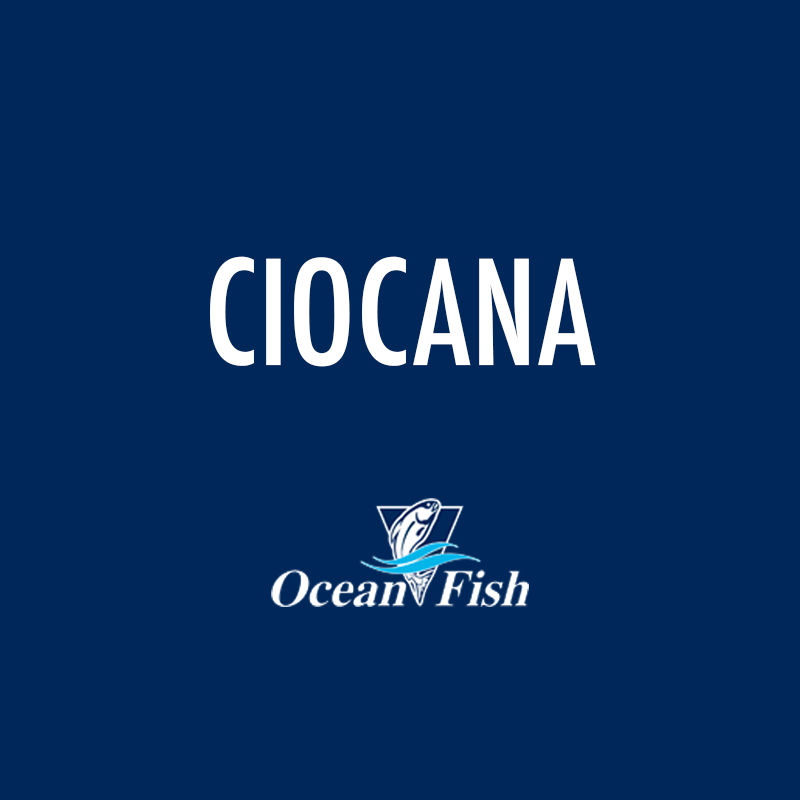Ciocana